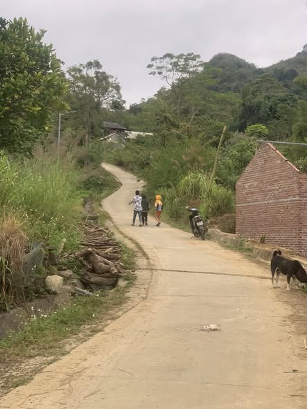 Đất nền Tân Phong Lai Châu 3.600m² giá 2 tỷ - Tiềm năng đầu tư tuyệt vời!