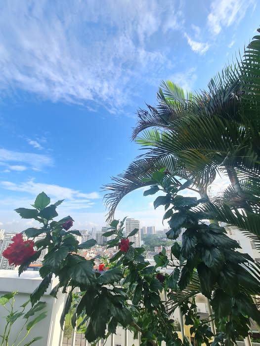 Penthouse Sky Garden Phú Mỹ Hưng 270m² giá 11 tỷ - Đẳng cấp vượt trội!