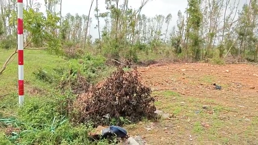 Đất nền Trường Lộc 240m² giá thỏa thuận - Mặt tiền 12m, cơ hội đầu tư tuyệt vời!