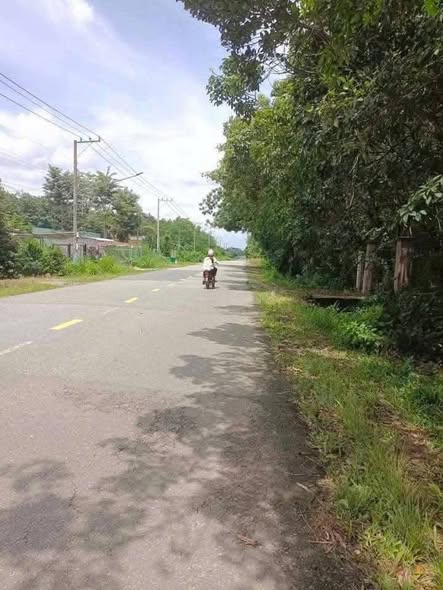 Đất SKC Bàu Bàng Bình Dương 16.000m² giá 48 tỷ - Đầu tư sinh lời bền vững!