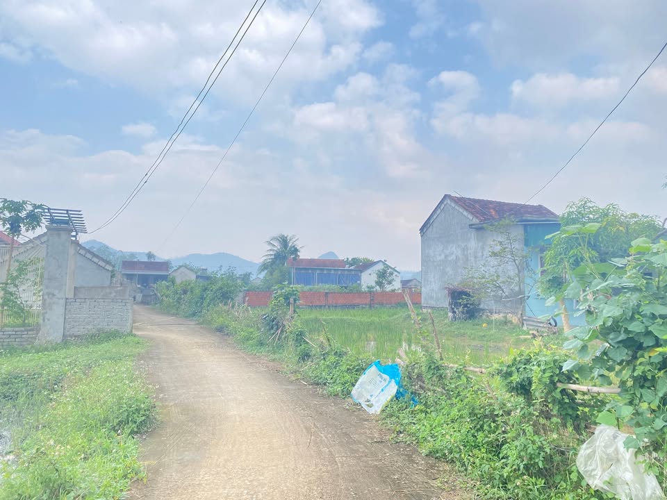 Đất thổ cư Lý Thành, Yên Thành 465m² giá chỉ 500 triệu - Cơ hội đầu tư tốt!