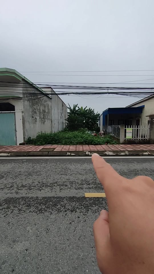 Đất nền đường Quý Kim, phường Nam Đồ Sơn, 158m² giá 4.724 tỷ - Vị trí kinh doanh lý tưởng!