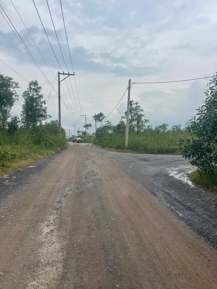 Lô đất 9695m² Hố Nai 3, Trảng Bom - Giá 13 tỷ, Pháp lý rõ ràng!