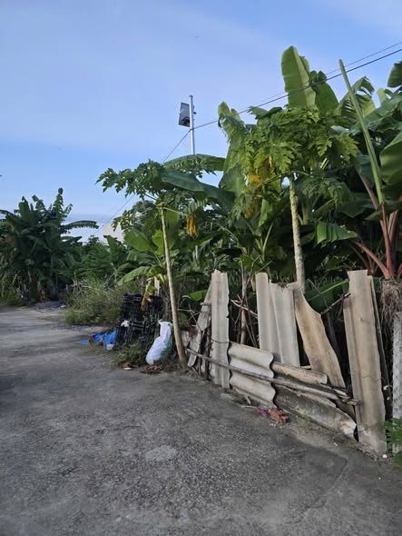 Đất nền Hòa Xuân Cẩm Lệ 146m² giá 1.78 tỷ - Lô đẹp, 2 mặt tiền, sẵn sàng đầu tư!