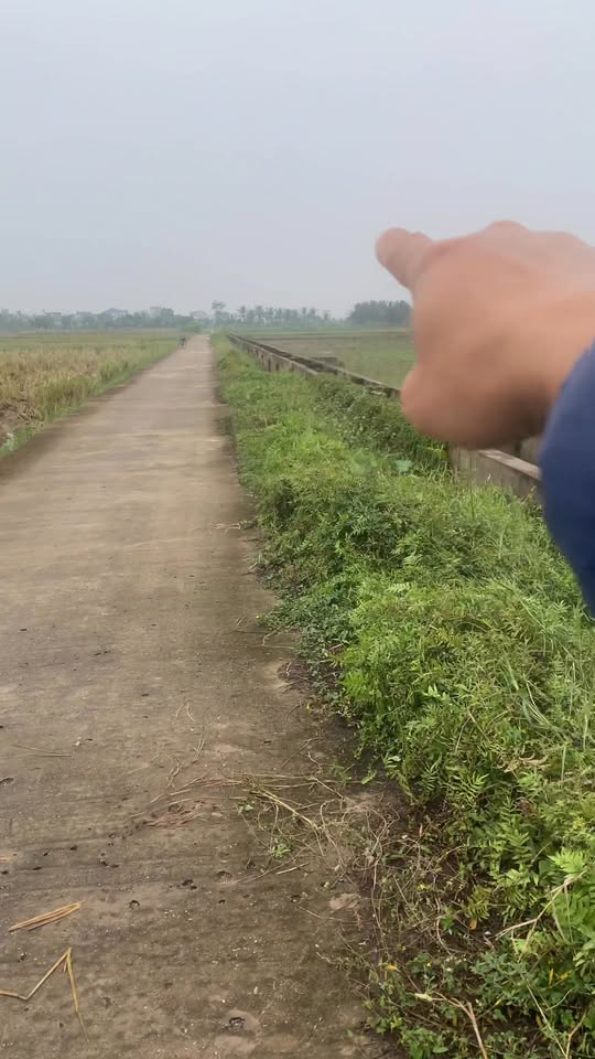 Đất chuyển đổi tại xã Long Hưng, Văn Giang, Hưng Yên 20.000m² - Giá cả thỏa thuận hấp dẫn!