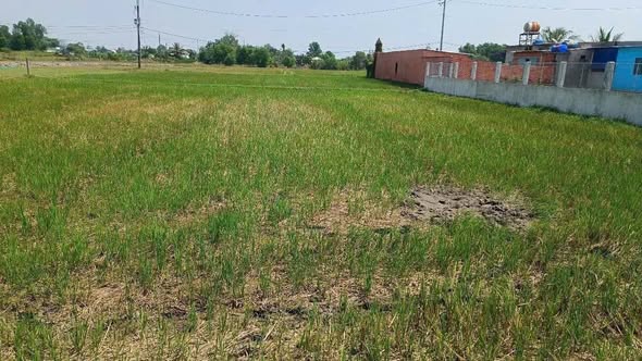 Đất nền Đức Hòa Thượng, Đức Hòa 2240m² giá 4 tỷ - Phù hợp cho biệt thự nghỉ dưỡng!