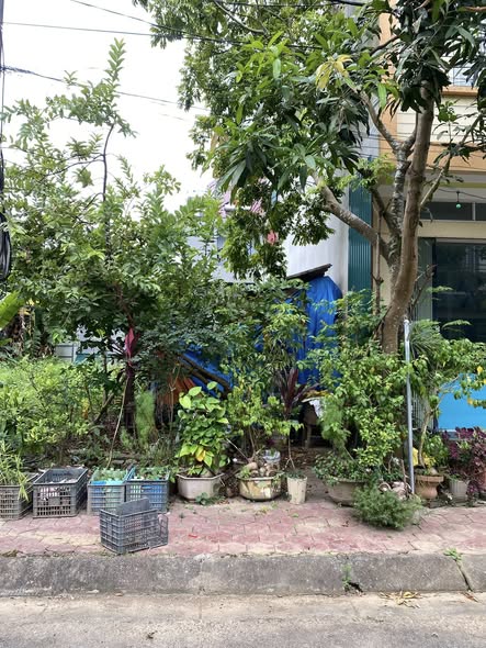 Đất nền Bảo Thắng 100m² giá chỉ 8xx triệu - Vị trí trung tâm, tiện ích đầy đủ!