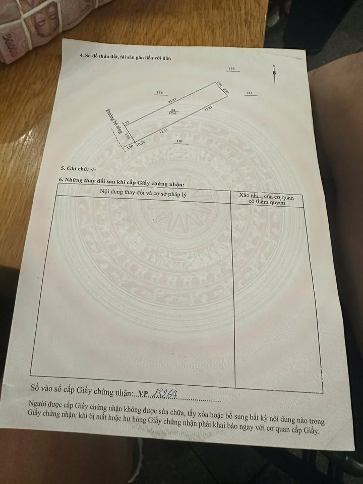 Đất nền Cẩm Lệ Đà Nẵng 125m² giá 2.45 tỷ - Hướng Tây Nam, ô tô vào tận nơi!