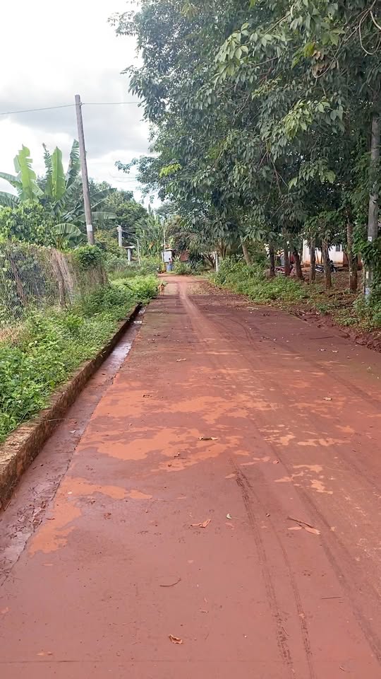 Đất nền Lộc Tấn 2000m² giá chỉ 400 triệu - Sổ đỏ chính chủ, công chứng ngay!