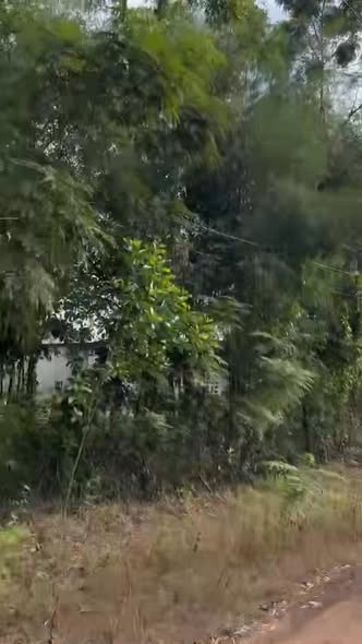 Đất thổ cư Ấp 3, xã Lộc Hưng 560m² giá chỉ 300 triệu - Cơ hội đầu tư tuyệt vời!