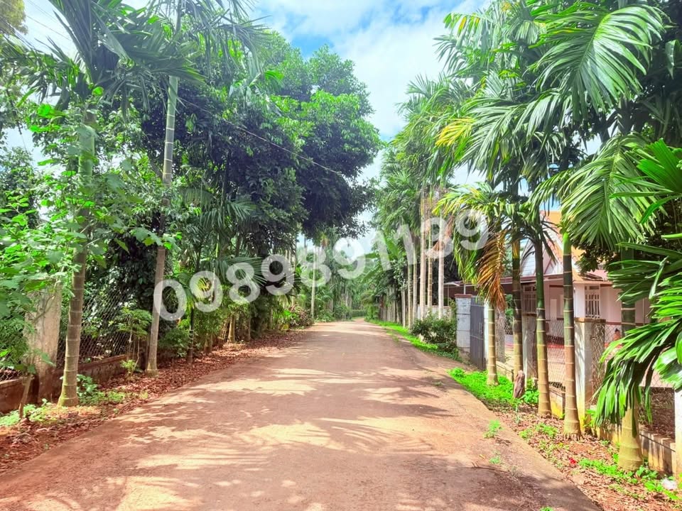 Đất nền Tân Lập, Buôn Ma Thuột 125m² giá chỉ 735 triệu - Đầu tư sinh lời hấp dẫn!