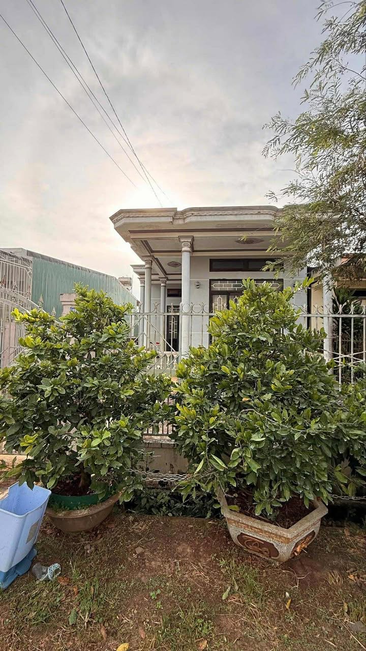 Đất nền chính chủ Hoà Thắng, Tân Lập 2844m² giá 3 tỷ - Mặt tiền đường nhựa, ô tô né nhau!