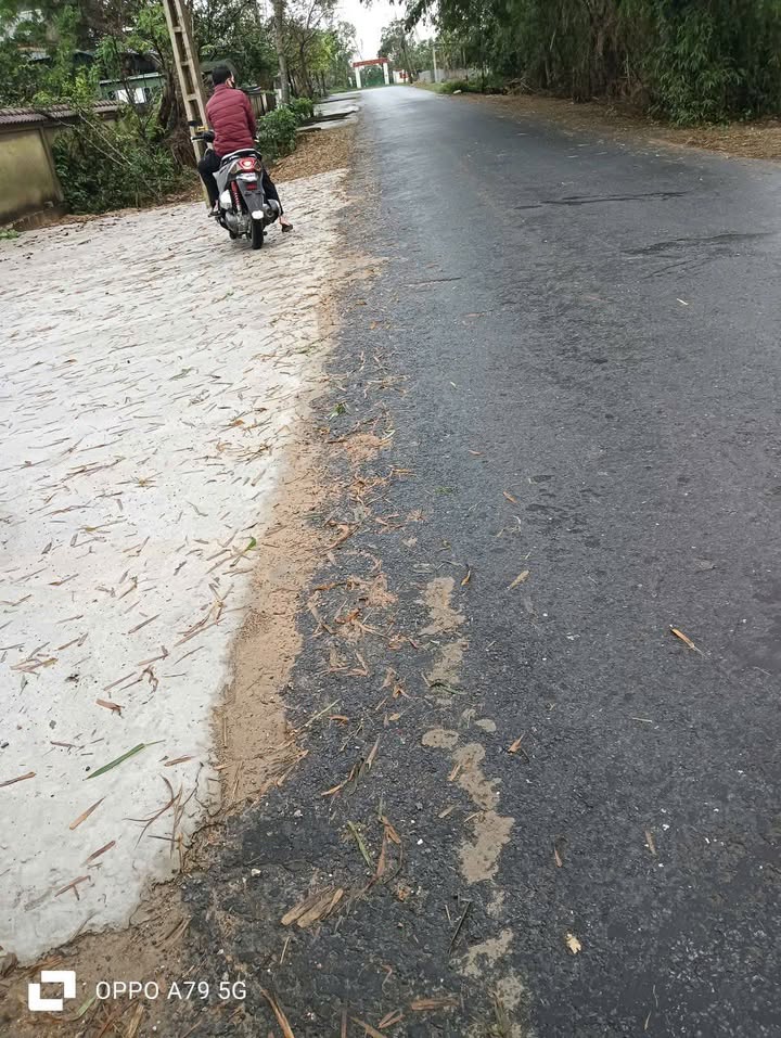 Đất nền Nghi Phong, Nghi Lộc 218.4m² chỉ 2 tỷ - Đầu tư sinh lời nhanh!