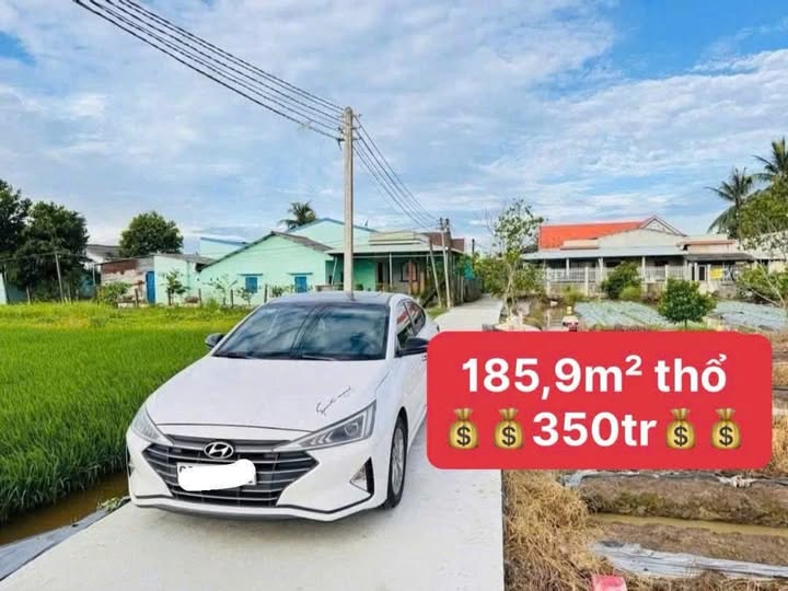 Đất nền Tân Trụ, Long An - 185m² giá 350 triệu - Đường xe hơi vào tận nơi!
