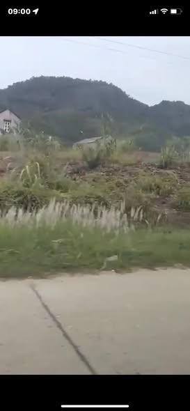 Đất nền tại Ba Chẽ 120m² giá 750 triệu - Cơ hội đầu tư tuyệt vời!