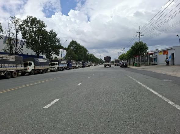 Đất nền đường D13, huyện Bàu Bàng, 50m² giá 6.5 tỷ - Cơ hội đầu tư hấp dẫn!