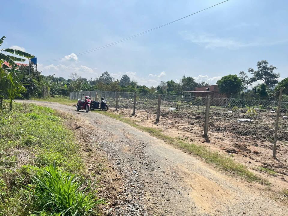 Đất nền 1000m² tại Lộc Thành, Bảo Lộc - Giá chỉ 1.55 tỷ, sở hữu ngay!