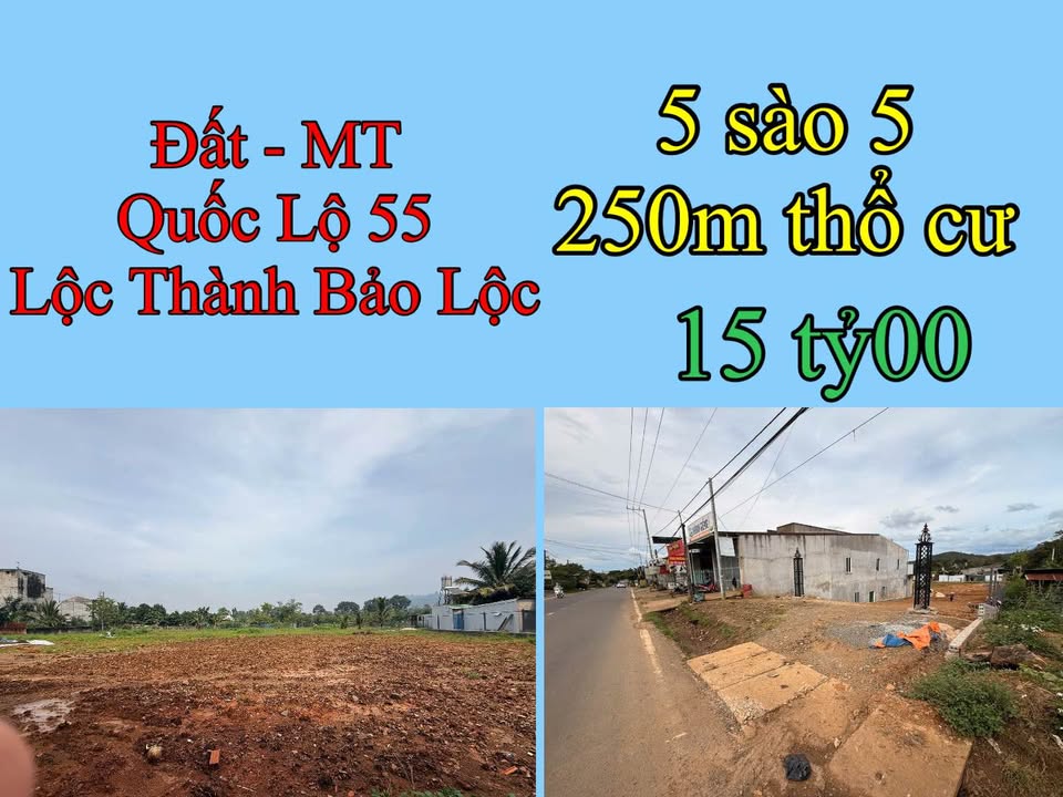 Đất mặt tiền Quốc Lộ 55 Lộc Thành Bảo Lộc 5250m² giá 15 tỷ - Đầu tư sinh lời ngay!