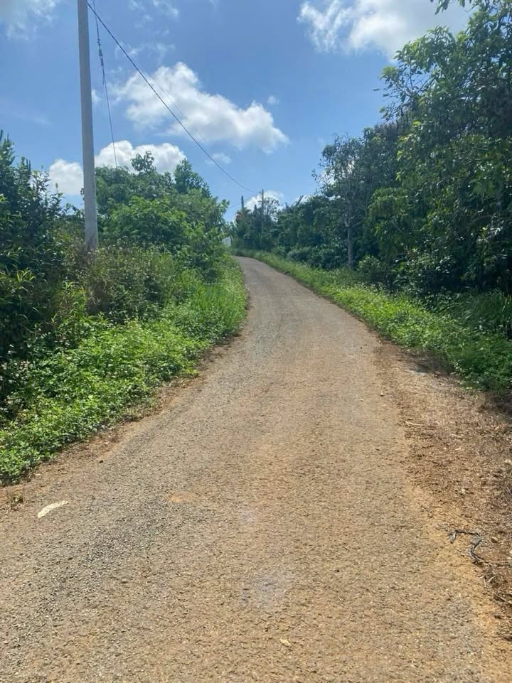 Đất thổ cư 219m² đường Trịnh Hoài Đức, Bảo Lộc chỉ 1.65 tỷ - Cơ hội đầu tư hấp dẫn!