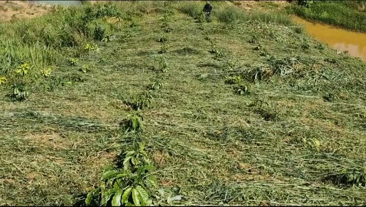 Đất Lộc Bảo Bảo Lâm 58.000m² giá 700 triệu - Cơ hội đầu tư hấp dẫn!