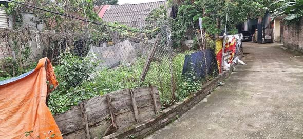 Đất nền Kim Lâm Gia Lâm 88m² giá thỏa thuận - Vị trí đắc địa gần chợ
