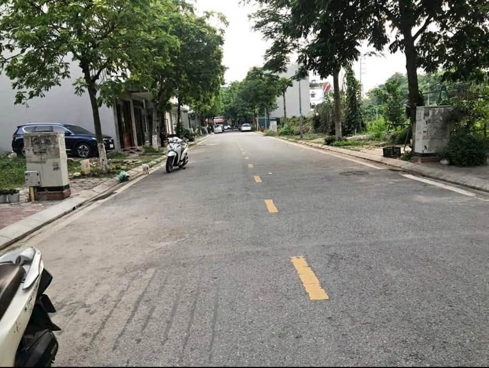 Đất nền chính chủ tại Đô thị Newland, Hải Dương - Diện tích 63m², giá 4 tỷ - Khách hàng nhanh tay!