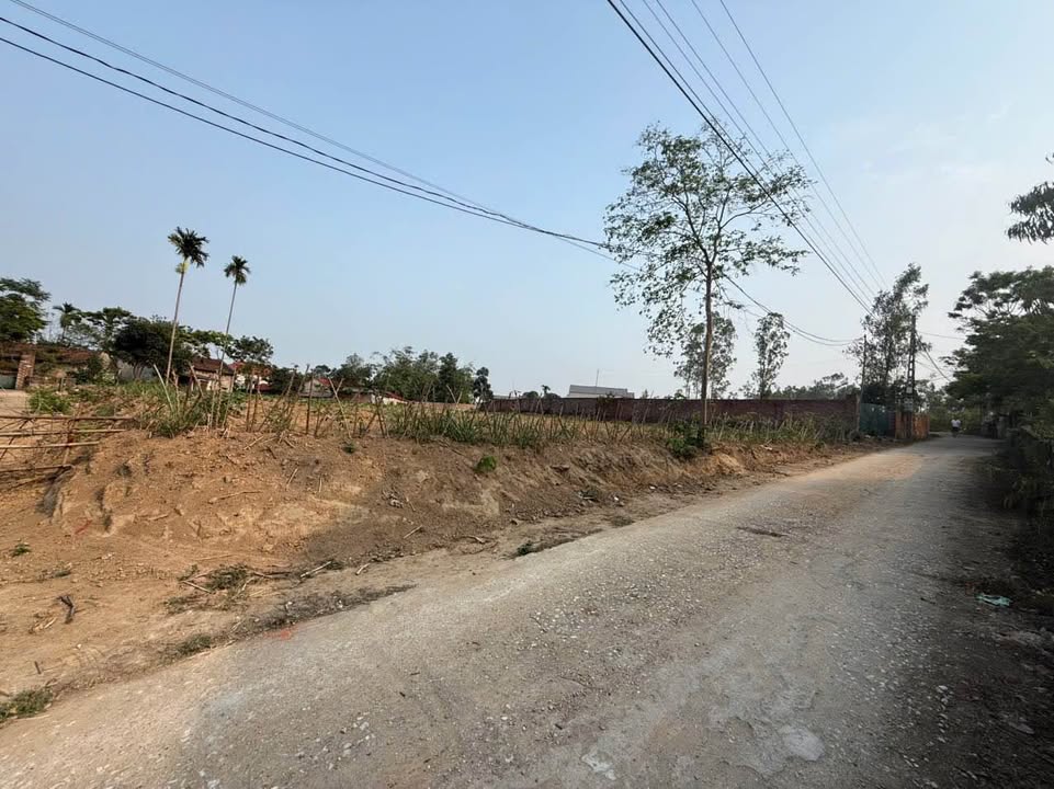 Đất nền thôn Tự Do, Đồng Tĩnh, Tam Dương 100m² giá chỉ 300 triệu - Cơ hội đầu tư tuyệt vời!