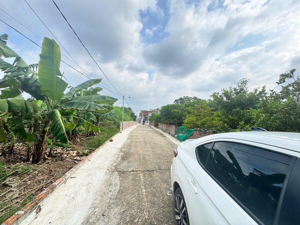 Lô đất đẹp khu 3 Thanh Đình, Việt Trì 189m² giá 800 triệu - Cần tiền bán gấp!