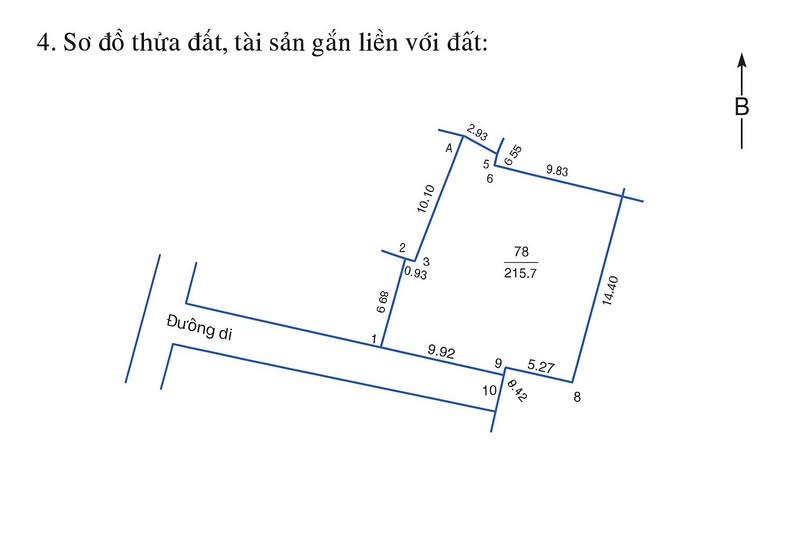 Đất thổ cư 215,7m² Sơn Đông, Sơn Tây - Giá đầu tư hấp dẫn chỉ 2.157 tỷ!