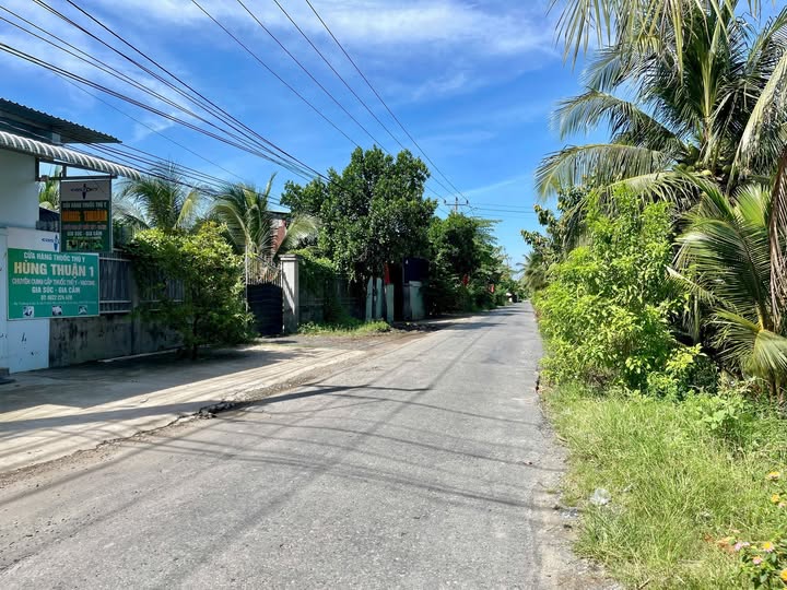 Đất nền 1443m² tại Thanh Bình, Chợ Gạo - Giá chỉ 1 tỷ VND, cơ hội đầu tư tuyệt vời!