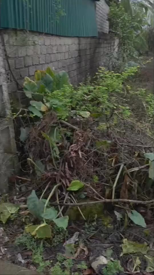 Đất thổ cư Yên Trung 300m² giá 1.5 tỷ - Gần trường học và tiện ích