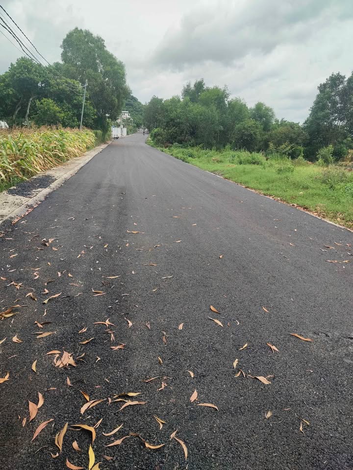 Đất nền Tam Phước 280m² giá 1.58 tỷ - Chính chủ bán, bớt lộc cho khách thiện chí!