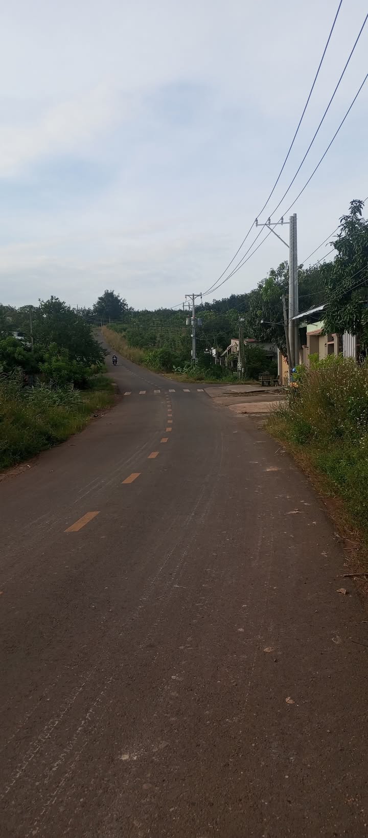 Đất nền 1ha150 tại Tân Thành, Đồng Xoài - Sổ đỏ chính chủ, giá thương lượng