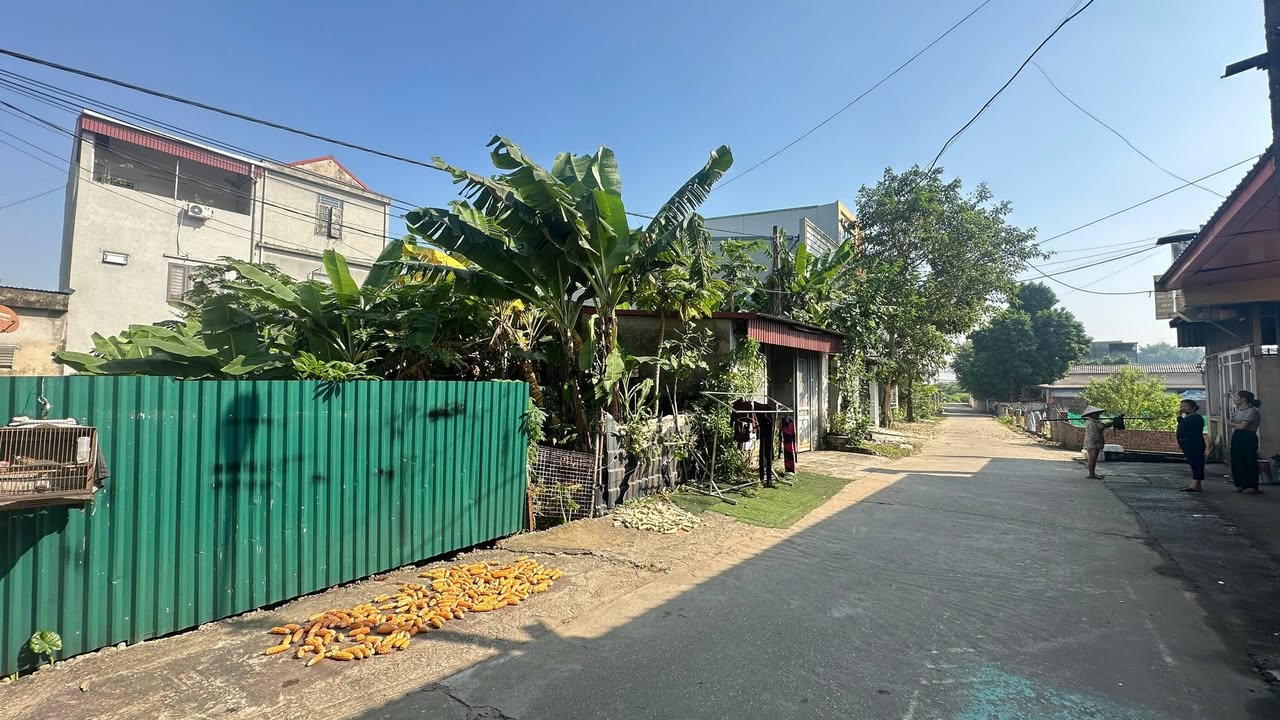 Đất nền Minh Phương, Việt Trì 80m² chỉ 2 tỷ - Chính chủ, giá tốt!