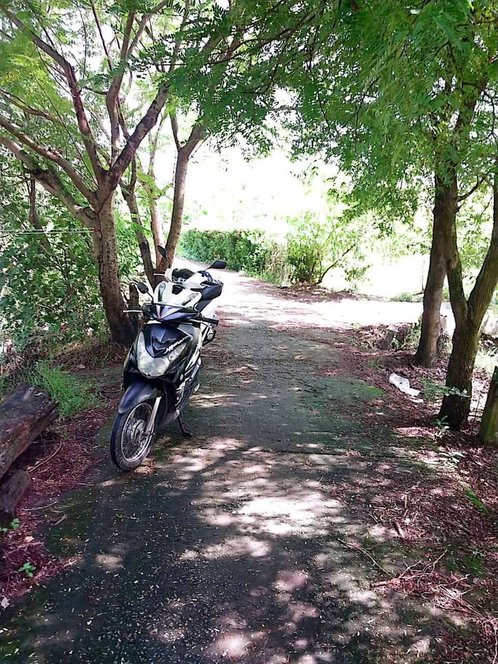 Bán lô đất 306m² khóm 6, phường Lý Văn Lâm, Cà Mau - Giá chỉ 600 triệu!