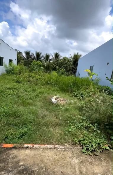 Đất thổ cư phường Mỹ Phong, Mỹ Tho 97.35m² giá chỉ 500 triệu - Cơ hội đầu tư tuyệt vời!