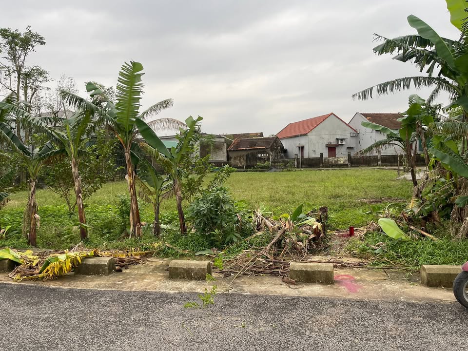 Đất thổ cư Thôn Minh Quý, Thạch Châu 140m² giá 1 tỷ - Cơ hội đầu tư tuyệt vời!