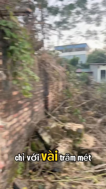 Đất nền Tổ dân phố Việt Hùng, Thị trấn Thắng, 103m² giá 1 tỷ - Đầu tư sinh lời ngay!