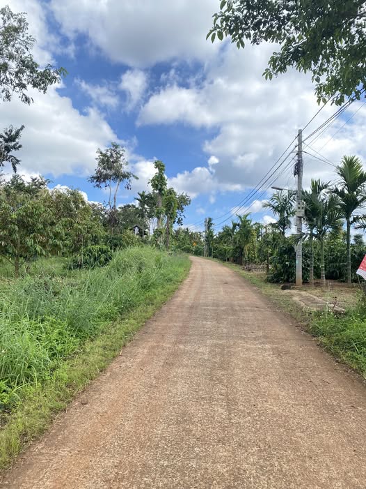 Đất thổ cư 800m² tại Ea Kiết, Cư M'gar, Đắk Lắk - Giá chỉ 833 triệu!