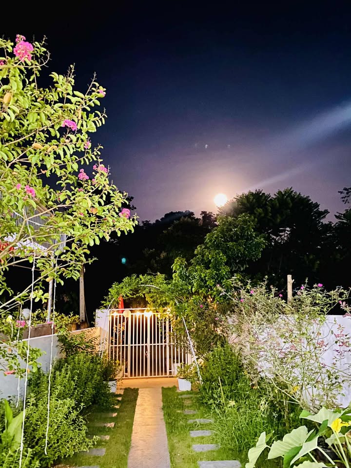 Nhà riêng Hòa Hiếu 256m² giá 1 tỷ - Sẵn sàng vào ở ngay!