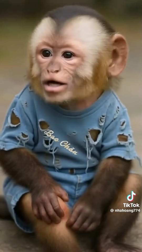 Đất thổ cư 500m² tại Tánh Linh - Giá chỉ 1 tỷ, cơ hội đầu tư hiếm có!