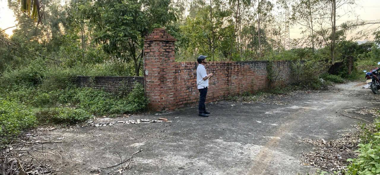 Đất nền Kim Anh, Sóc Sơn - 416m² giá chỉ 3 triệu/m² - Cơ hội đầu tư hấp dẫn!