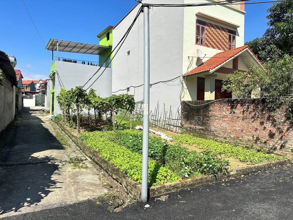 Đất đẹp Tân Dân Sóc Sơn 100m² giá 3 tỷ - Lô góc thông thoáng, đầu tư lý tưởng!