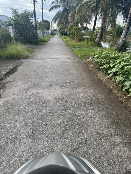 Đất ruộng và thổ cư 51,500m² tại Thạnh An, Cần Thơ - Giá chỉ 1.3 tỷ!