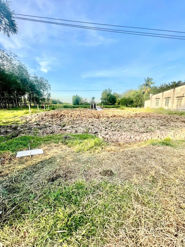 Đất nền An Bình Châu Thành Tây Ninh 1760m² giá 1.32 tỷ - Khu dân cư an ninh, giao thông thuận lợi!