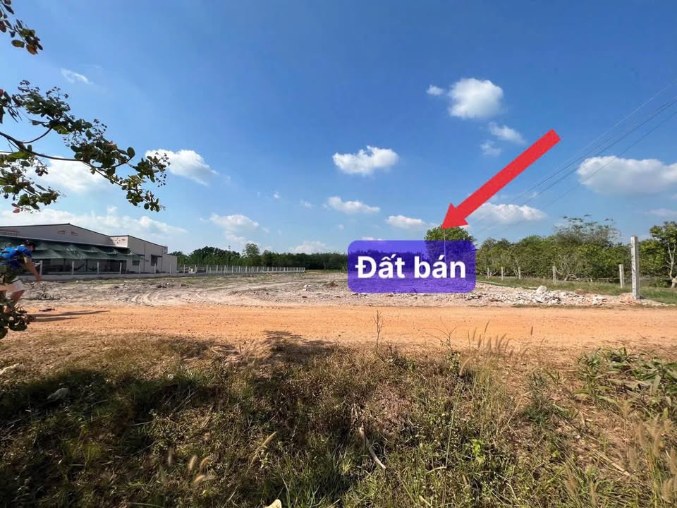 Đất nền Tân Phong, Tân Biên 175m² giá chỉ 130 triệu - Cơ hội đầu tư tuyệt vời!