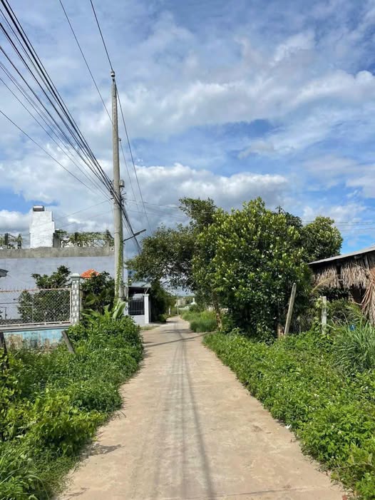 Đất thổ cư 100% đường Cảng, xã Long Thọ, Nhơn Trạch - Giá chỉ 1.65 tỷ!