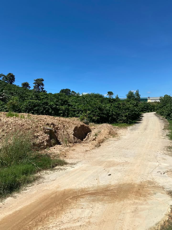 Đất nền Tân Văn 2300m² giá 1.6 tỷ - Sổ đỏ chính chủ, đường bê tông thông thoáng!