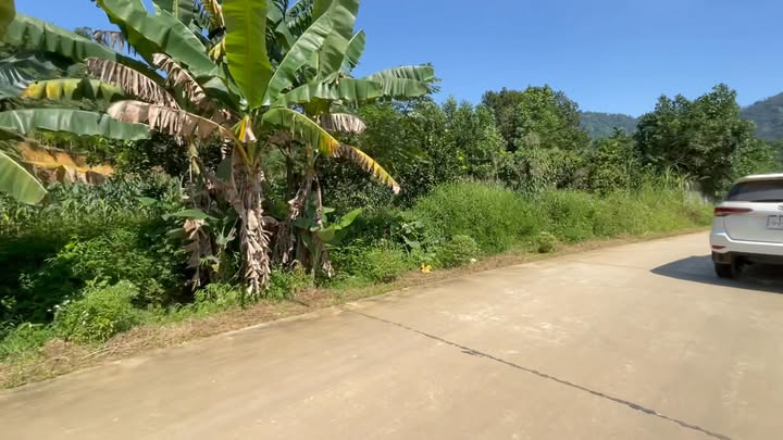 Đất nghỉ dưỡng Xuân Thủy, Yên Lập 400m² giá 500 triệu - View cánh đồng tuyệt đẹp!