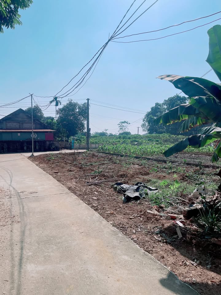 Đất nền xã Hy Cương, Việt Trì 171m² giá 1 tỷ - Vị trí đẹp, 2 mặt tiền!